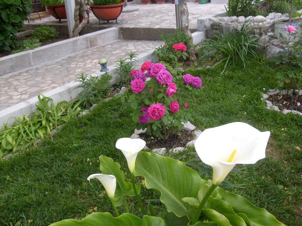 Apartments Bovan Herceg Novi Eksteriør billede